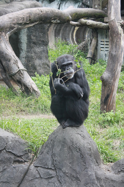 IMG_0067.jpg
