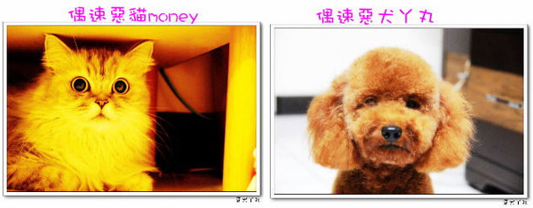 money和丫丸的照片.jpg money和丫丸的照片.jpg