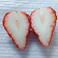 草莓剖.jpg