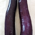 紫紅長茄.jpg