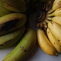 香蕉與旦蕉.jpg