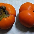 次郎甜柿1.jpg