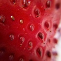 草莓種子.jpg