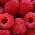 覆盆莓.jpg