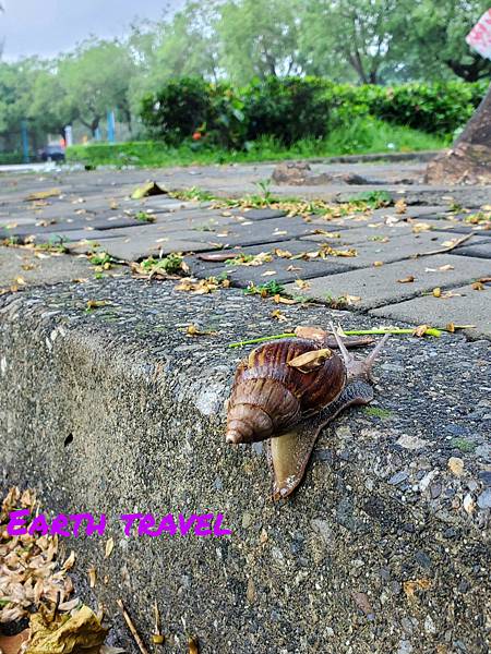 [那些地球風景]巨嬰般的存在-情緒怪獸