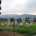 2016新社花海