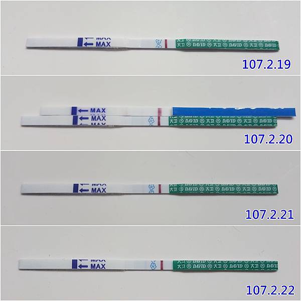 驗孕試紙-求子備孕