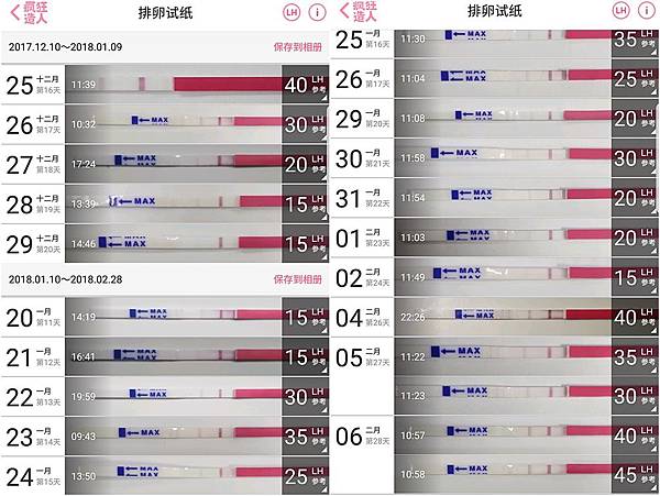 排卵試紙