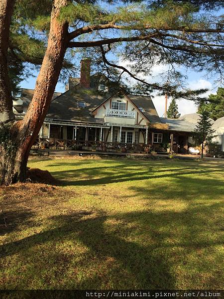 IMG_2020.JPG IMG_2020.JPG