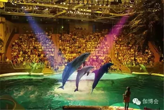 201509中國國際瑜伽產業博覽會-13 201509中國國際瑜伽產業博覽會-13