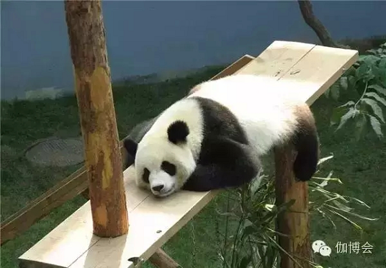 201509中國國際瑜伽產業博覽會-23 201509中國國際瑜伽產業博覽會-23