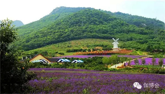 201509中國國際瑜伽產業博覽會-29 201509中國國際瑜伽產業博覽會-29