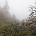 IMG_3778.JPG