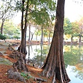 IMG_0070.JPG