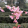 IMG_0068.JPG