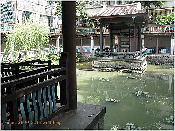 IMG_1171 IMG_1171