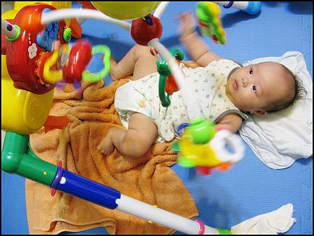 IMG_2385 IMG_2385