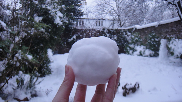 我很遜只捏了一個雪球