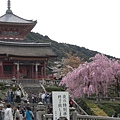 970412_01清水寺-3.JPG