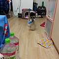 20131225_193029.jpg