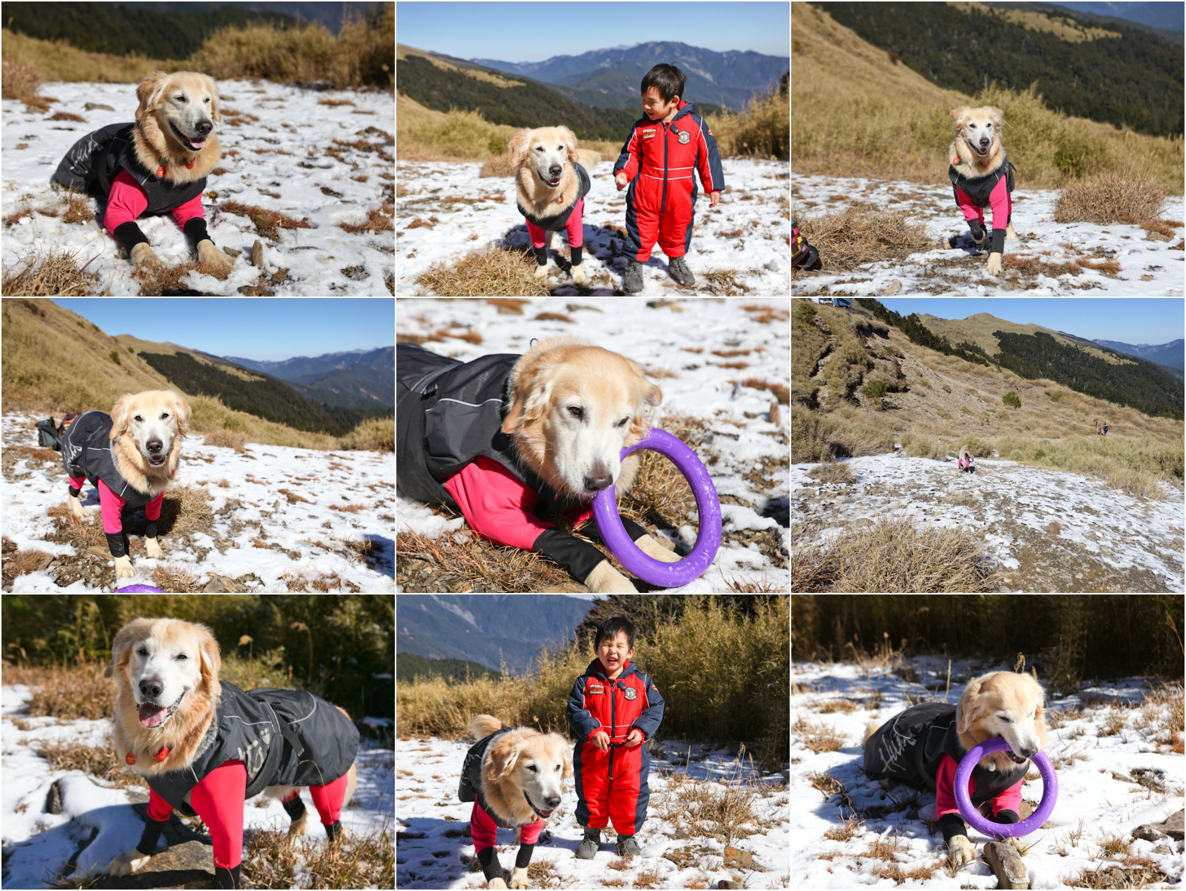 1422340230-4223634024