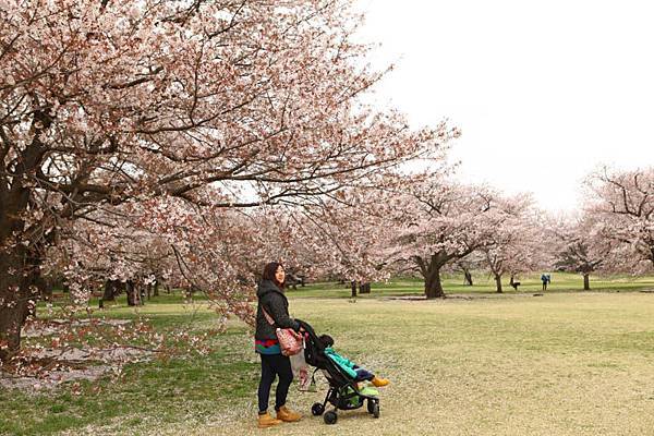 昭和公園賞櫻-48.jpg