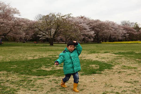 昭和公園賞櫻-98.jpg