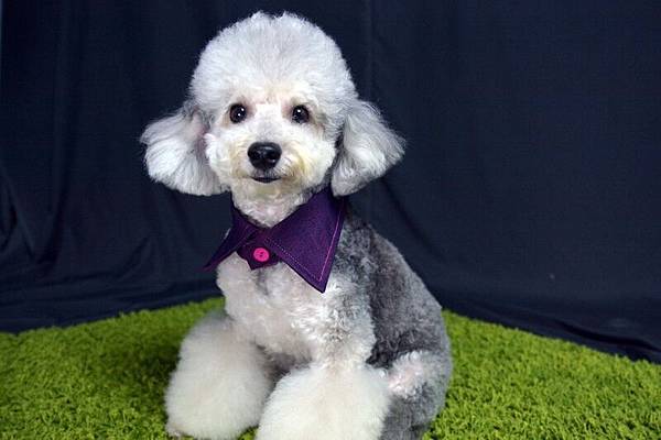 DSC_7492  (800x533).jpg