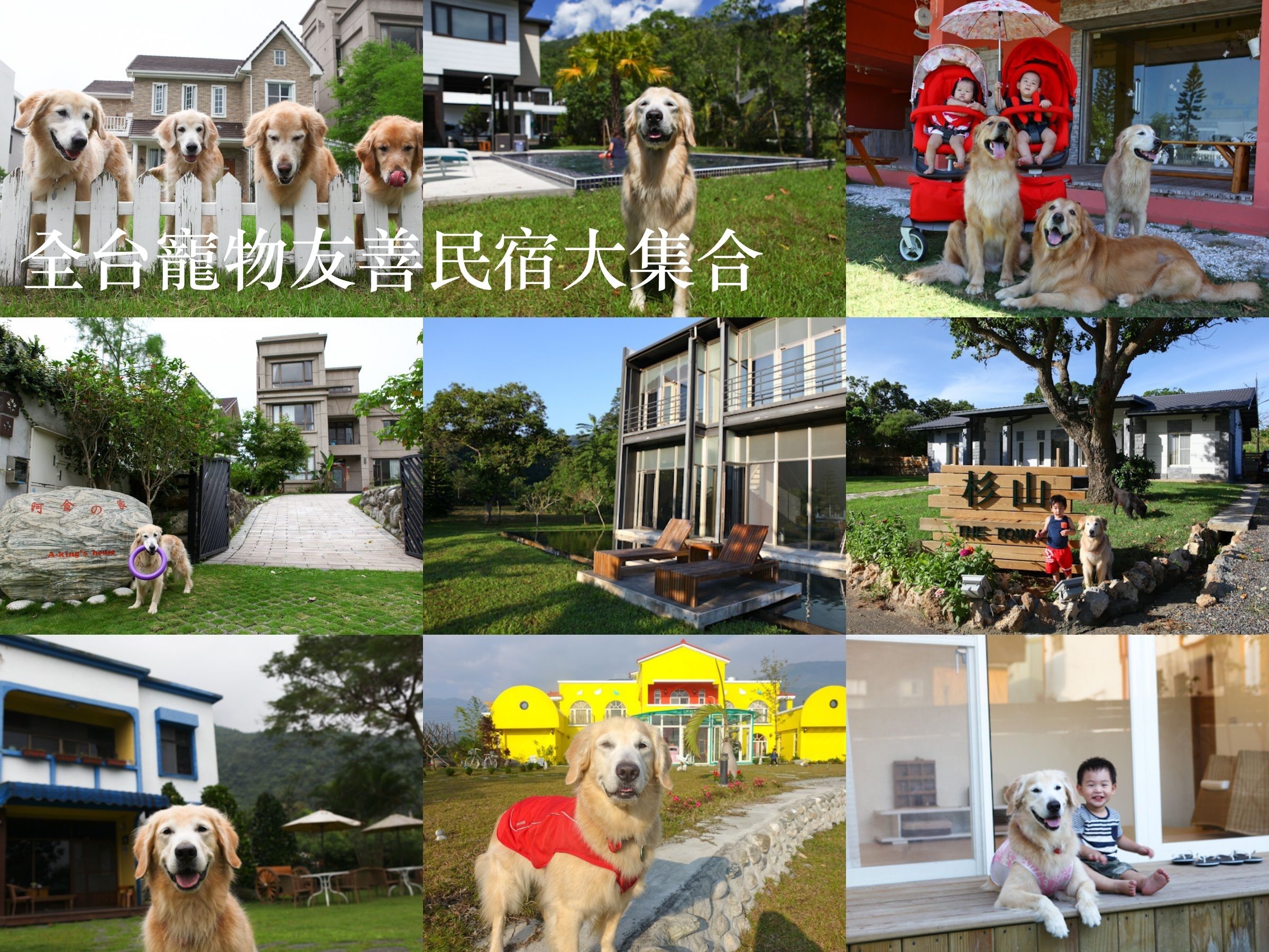 1431095205-947012841