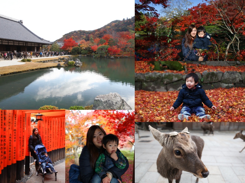 1422340230-4223634024