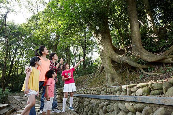 03東森山林-幸福桃花源生態步道3.jpg