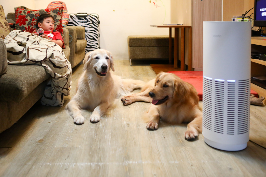 淨化器-18.jpg 淨化器-18.jpg