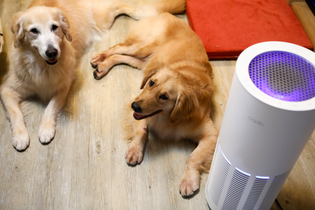 淨化器-19.jpg 淨化器-19.jpg