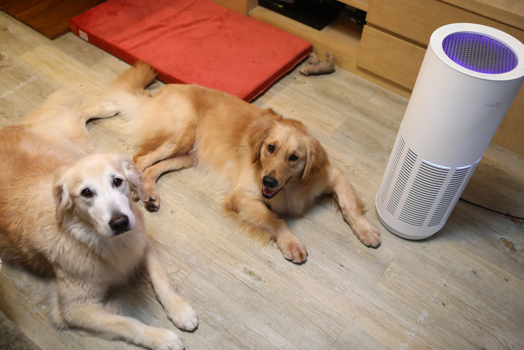 淨化器-20.jpg 淨化器-20.jpg