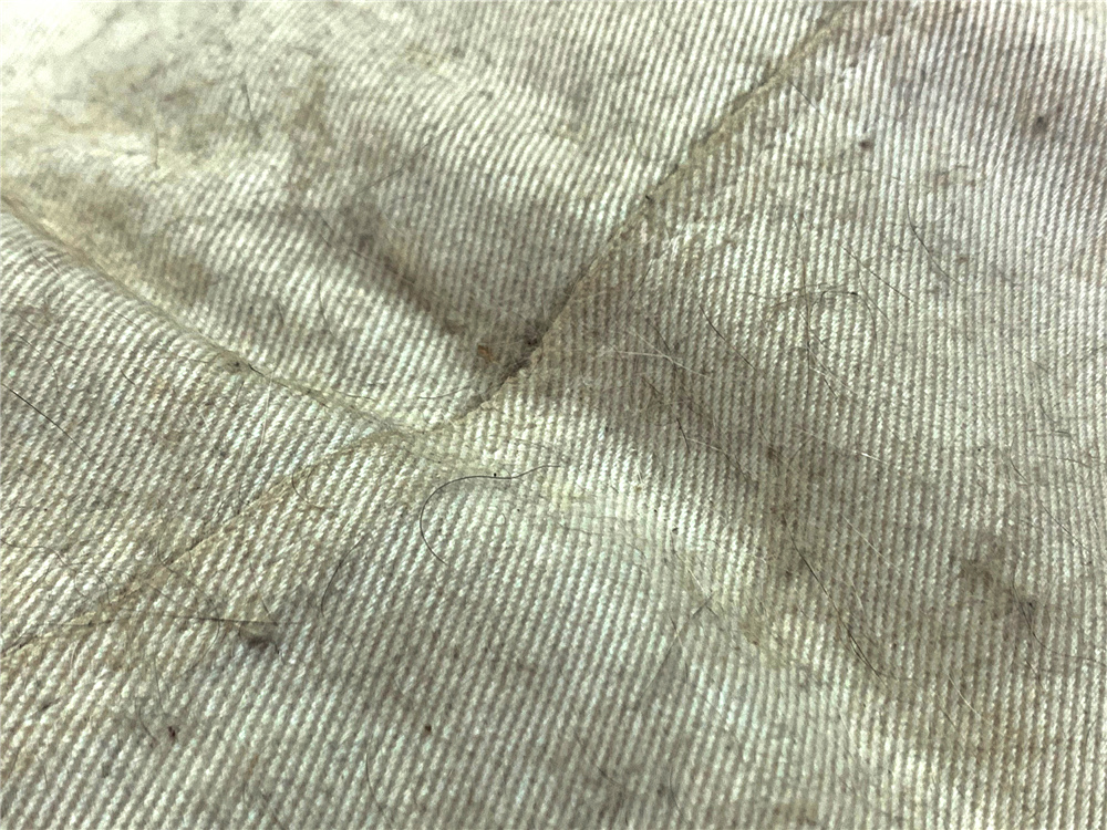 小紫 uv除蟎吸塵器 (17).jpg 試用