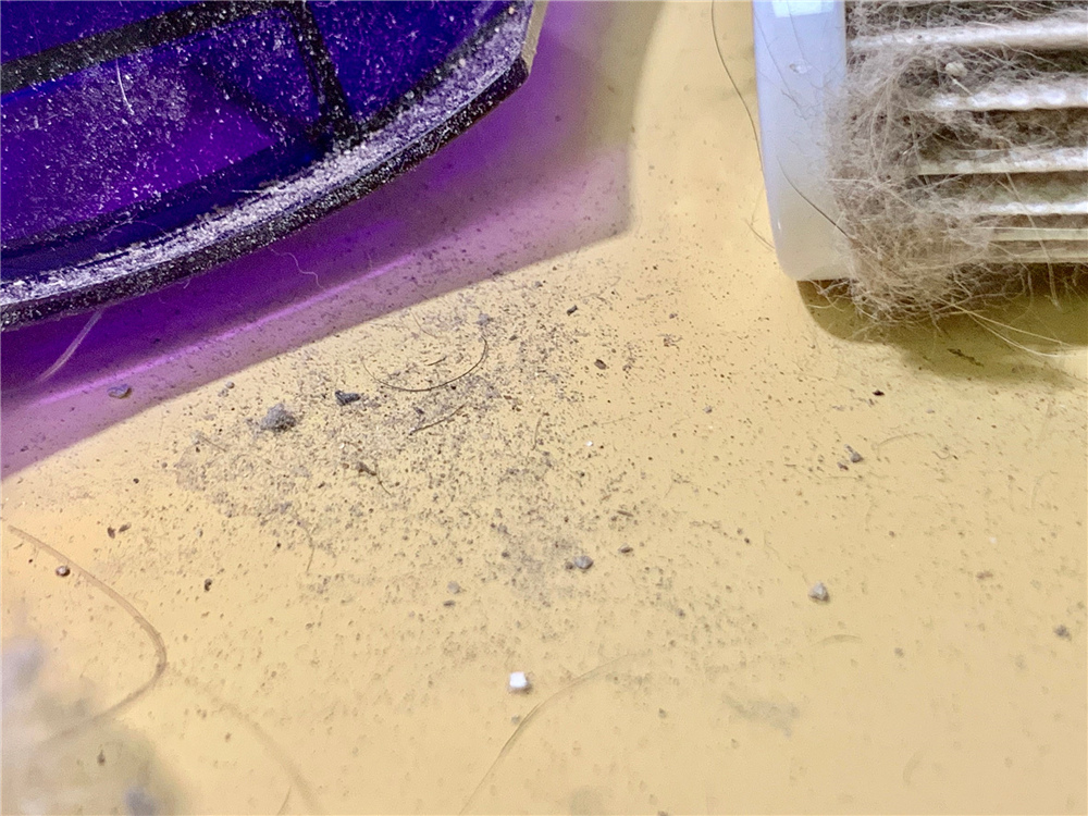 小紫 uv除蟎吸塵器 (26).jpg 試用