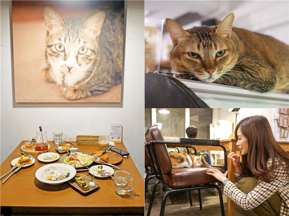 Toast Chat 不限時咖啡廳 美味義式燉飯 貓咪餐廳蒐集|台北東區|捷運國父紀念館 (1).jpg Toast Chat 不限時咖啡廳 美味義式燉飯 貓咪餐廳蒐集|台北東區|捷運國父紀念館 (1).jpg
