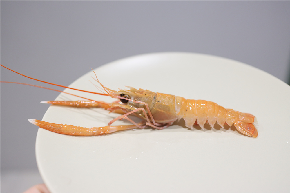 〖 宅配海鮮 〗 佐佐鮮 開箱！海鮮宅配到家懶人最愛！鮮甜好吃的海鮮食材選不完｜宅配海鮮推薦 (30).JPG