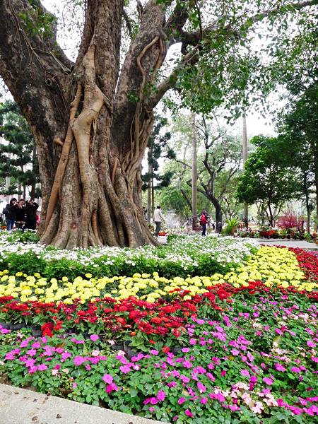 台南公園百花祭