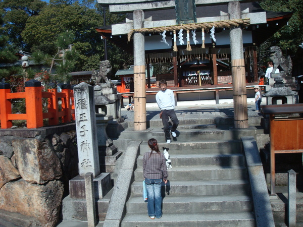 坐車經過的神社