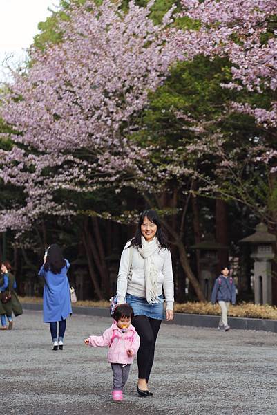 北海道櫻花2.jpg