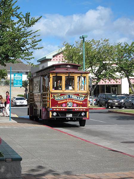 trolly bus.JPG