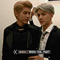 sh kris5.gif