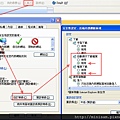 Oracle 匯出檔案設定