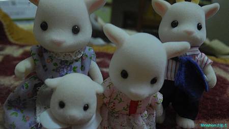 IMG_0077 IMG_0077