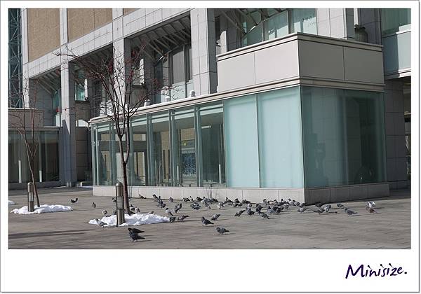 P1050835.JPG P1050835.JPG