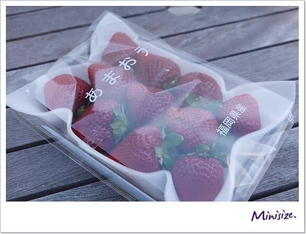 P1050517.JPG P1050517.JPG