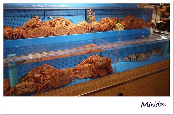 P1050938.JPG P1050938.JPG