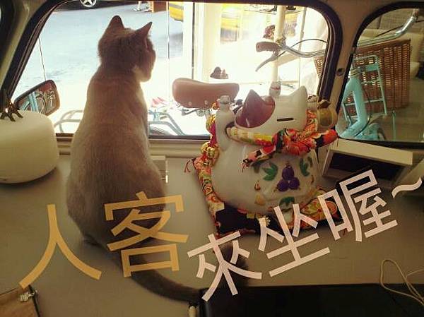 可樂 可樂