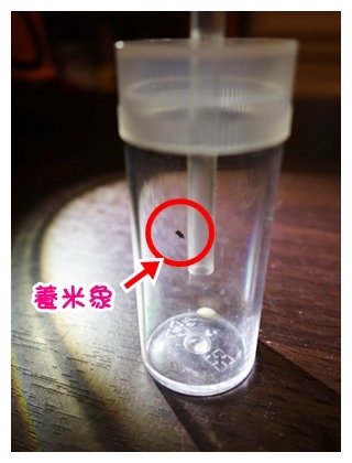 10507wa10.JPG 10507wa10.JPG
